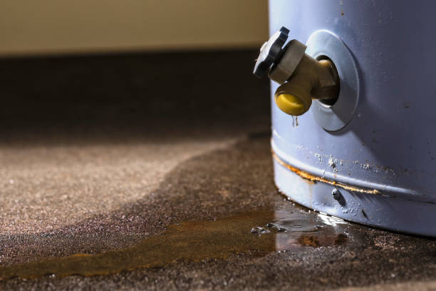Best Flooded house restoration  in Clio, MI