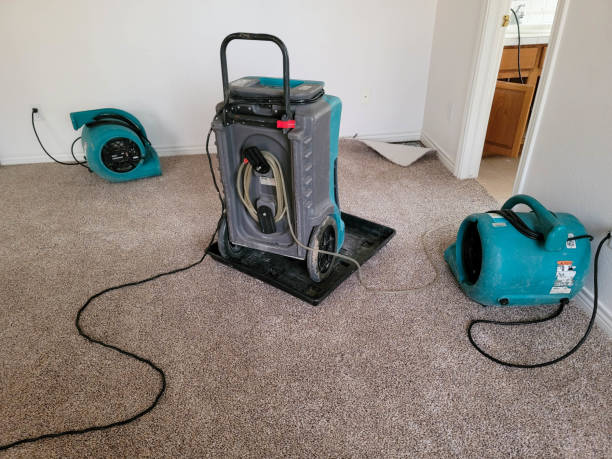 Best Sewage cleanup and water damage restoration  in Clio, MI