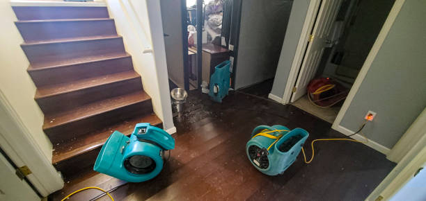 Best Water damage contractors near me  in Clio, MI