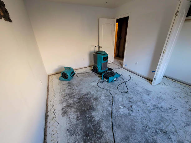 Best 24-hour water damage restoration  in Clio, MI