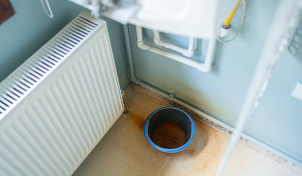 Best Water damage mitigation services  in Clio, MI