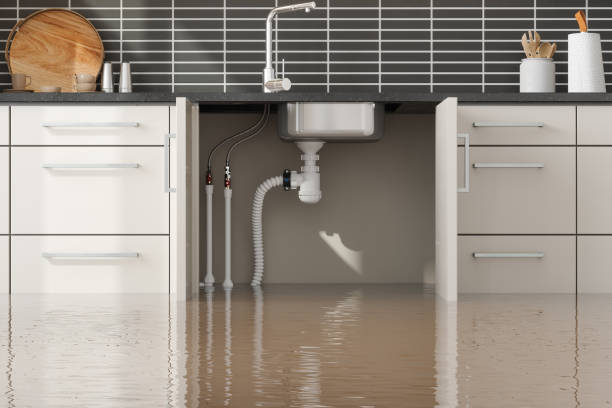 Best Carpet water damage restoration  in Clio, MI